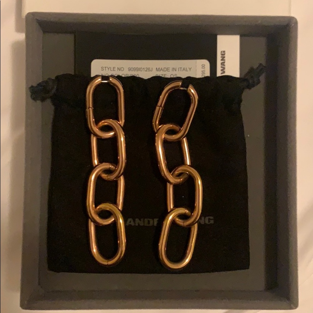 Alexander Wang Earrings - 100% Authentic